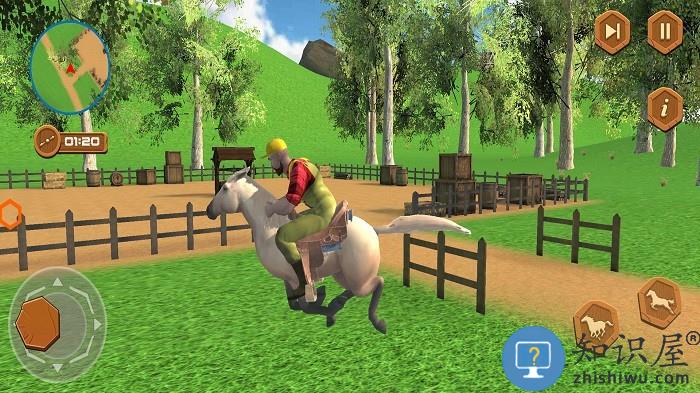 真实马术师模拟手机版下载