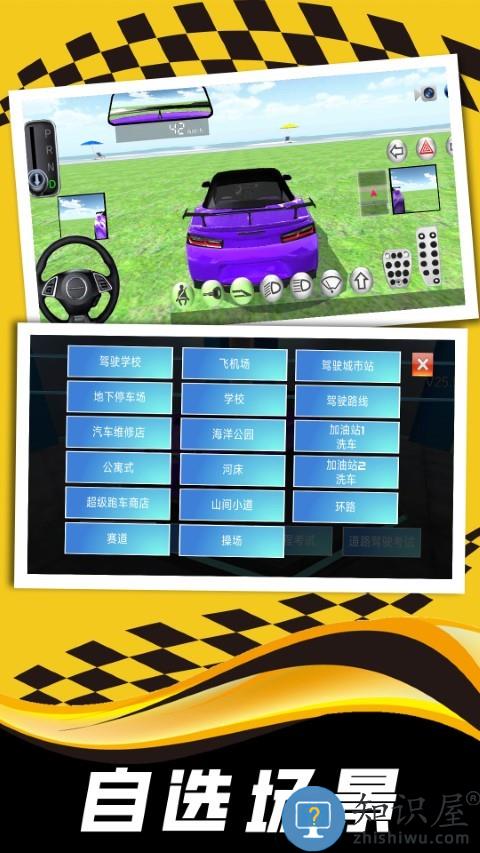 现实司机模拟器手机版下载