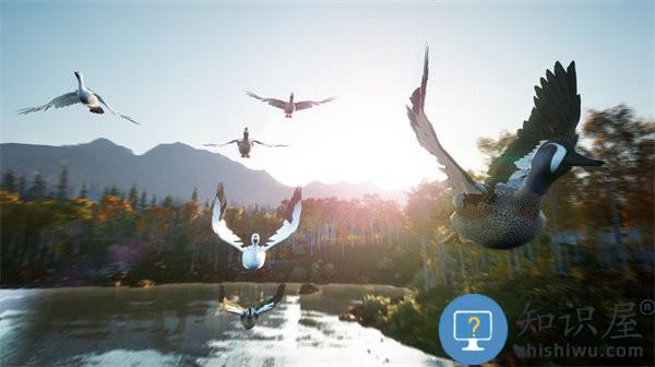 荒岛探险家小游戏下载