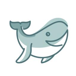 景域 v1.3.0 安卓版