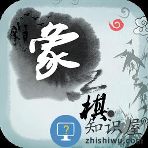 中国象棋残局大师新版下载v2.25 安卓版