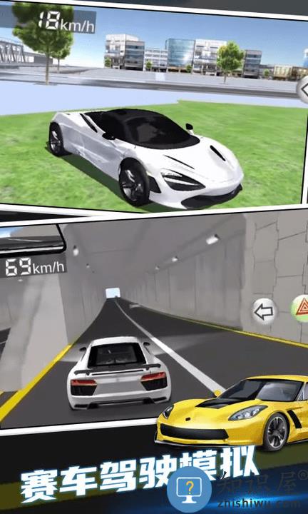 赛车驾驶模拟游戏 赛车驾驶模拟最新版下载
