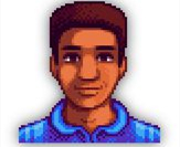 星露谷物语德米特里斯喜好表