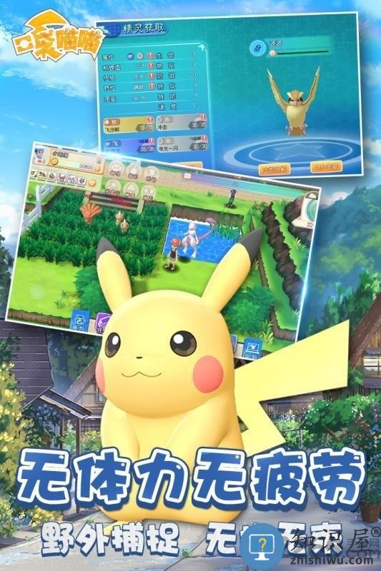 口袋喵喵九游版 口袋喵喵手游九游版下载