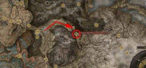 《艾尔登法环》DLC黄金树幽影埃贡支线任务流程一览