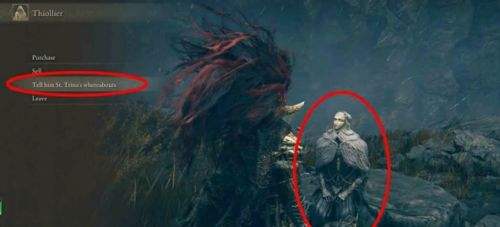 《艾尔登法环》DLC托莉娜休裏耶支线任务流程详解