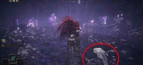 《艾尔登法环》DLC托莉娜休裏耶支线任务流程详解