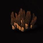 《黑神话悟空》葛蕈获得方法攻略