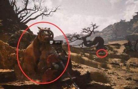 《黑神话悟空》黄金国支线任务触发及全流程完成攻略