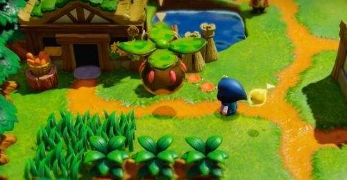 《塞尔达传说智慧的再现》会飞的植物任务流程详解