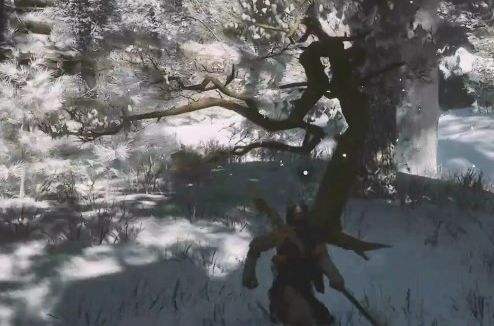 《黑神话悟空》树珍珠分布位置及获得方法