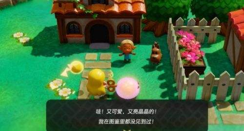 《塞尔达传说智慧的再现》发现新泥怪任务图文攻略