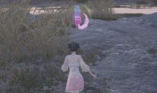 《无限暖暖》动物貂奇想星解谜|奇想貂的奇想星获取方法