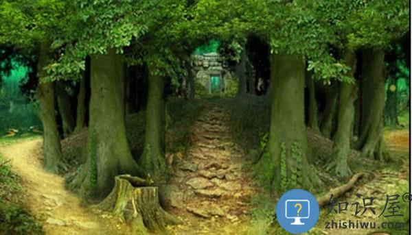 失落之城第一关怎么通关 失落之城第一关通关方法