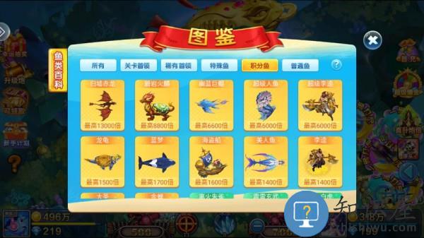 小玛丽捕鱼鱼类图鉴