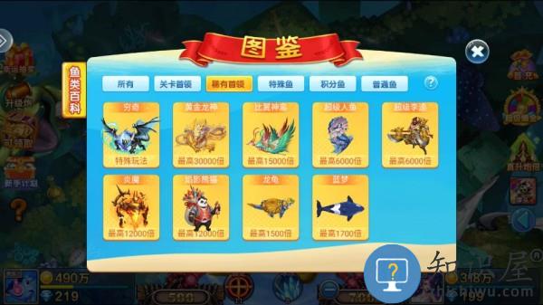 小玛丽捕鱼鱼类图鉴