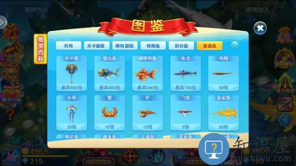 小玛丽捕鱼鱼类图鉴