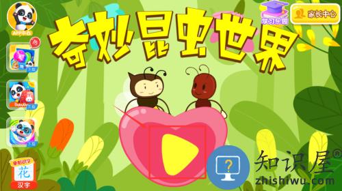 奇妙昆虫世界小游戏官方版 奇妙昆虫世界小游戏官方版