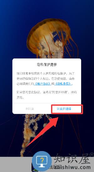 空战风云手机版 空战风云手机版