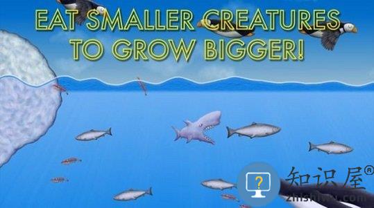 大鱼吃小鱼保卫战游戏 大鱼吃小鱼保卫战手机版下载
