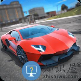 终极汽车驾驶模拟中文版下载v7.10.15 安卓版