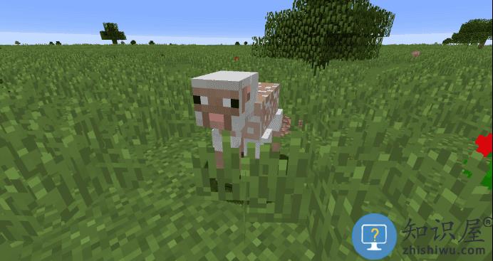 我的世界网易版攻略