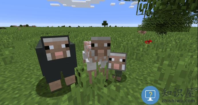 我的世界网易版攻略