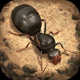 小小蚁国国际最新版(The Ants)下载v3.80.0 安卓版
