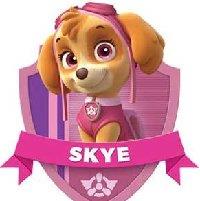 汪汪队立大功中文版下载v1.0.5 安卓版