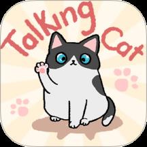 趣味找猫猫下载v1.1.2 安卓版